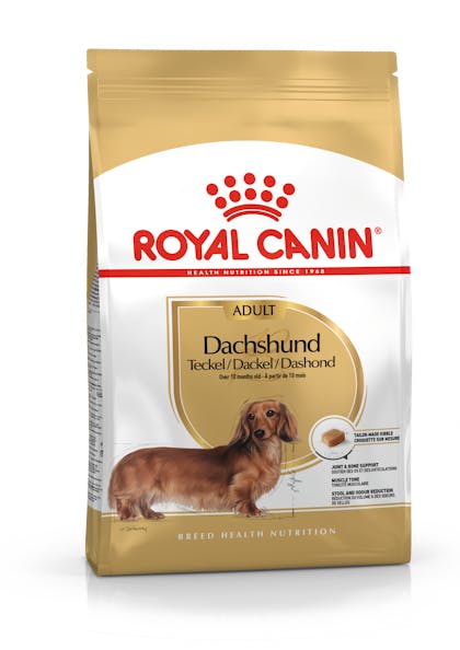 AD_DACHSHUND_PACKSHOT_BHN18