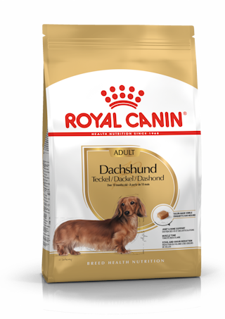 Royal Canin Dachshund Adult kuivtoit