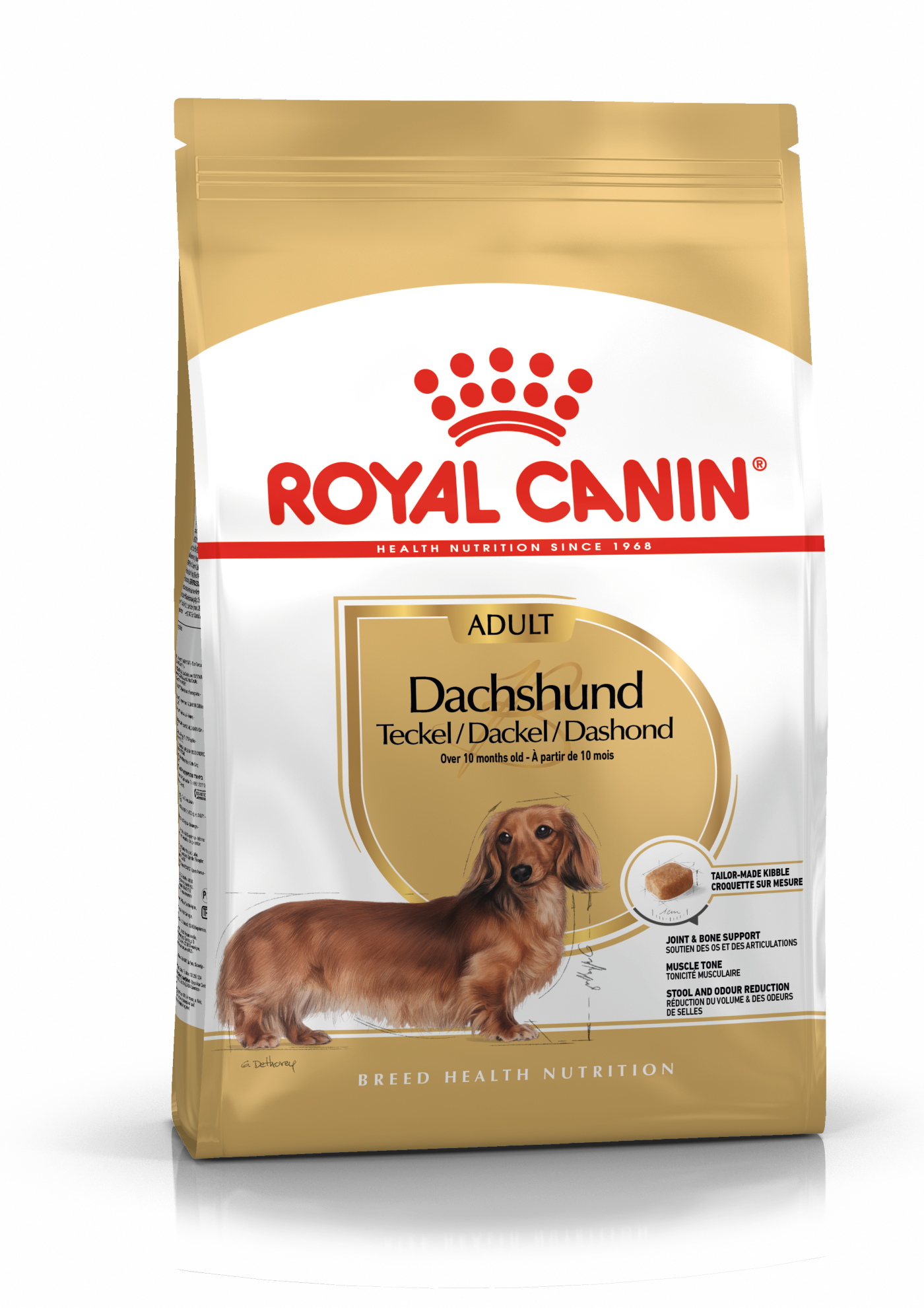 Senior sales dachshund food