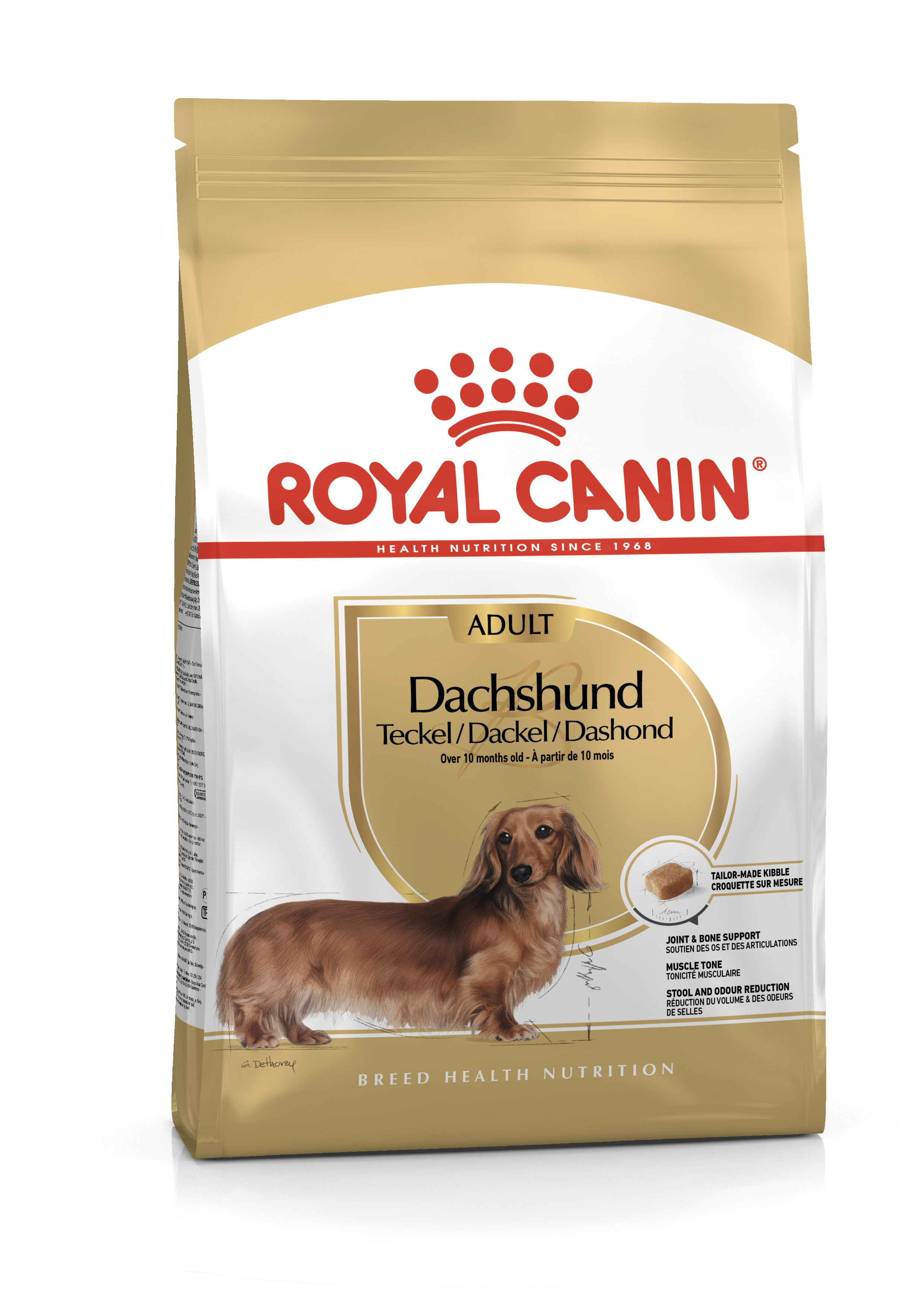 Teckel Royal Canin