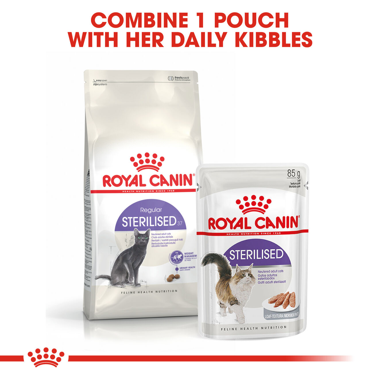 Royal Canin Sterilised 37 pour chat stérilisé