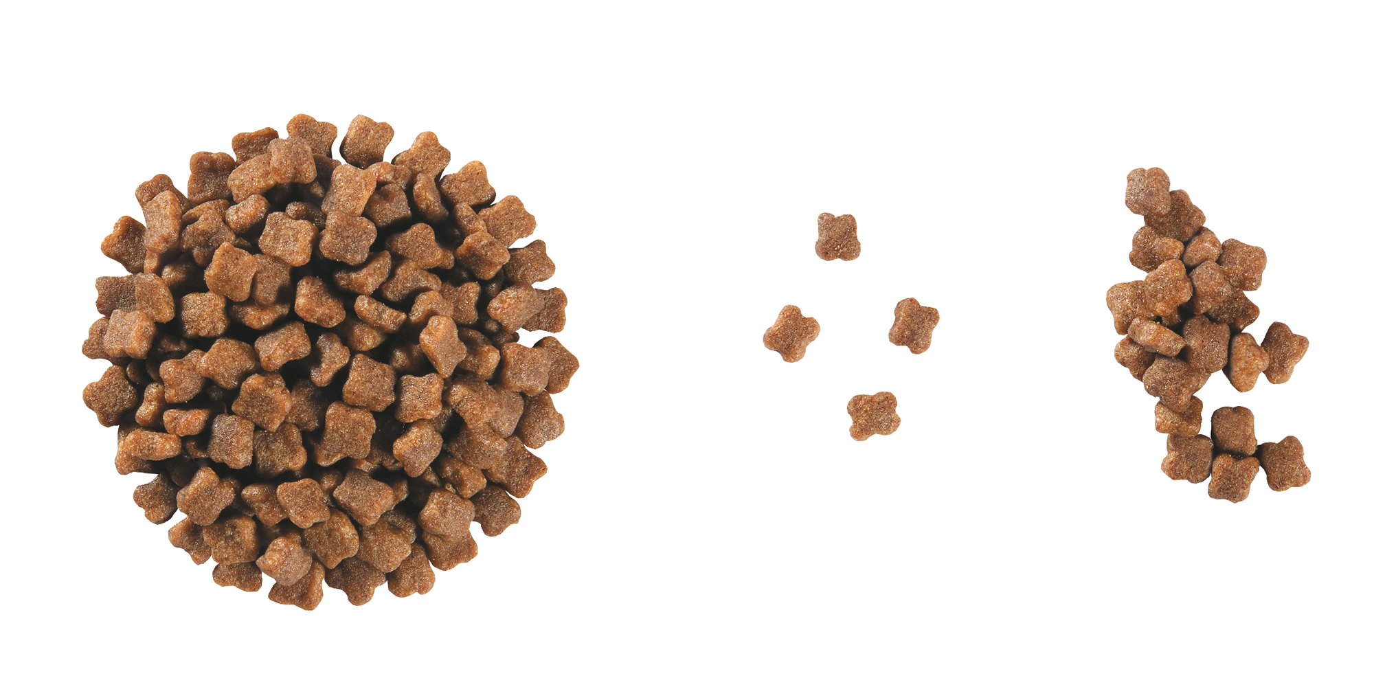 royal canin kitten pediatric weaning