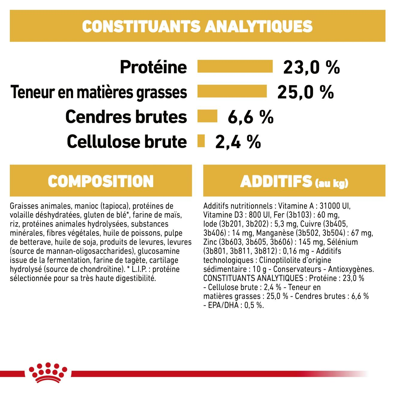 Dogue Allemand adulte