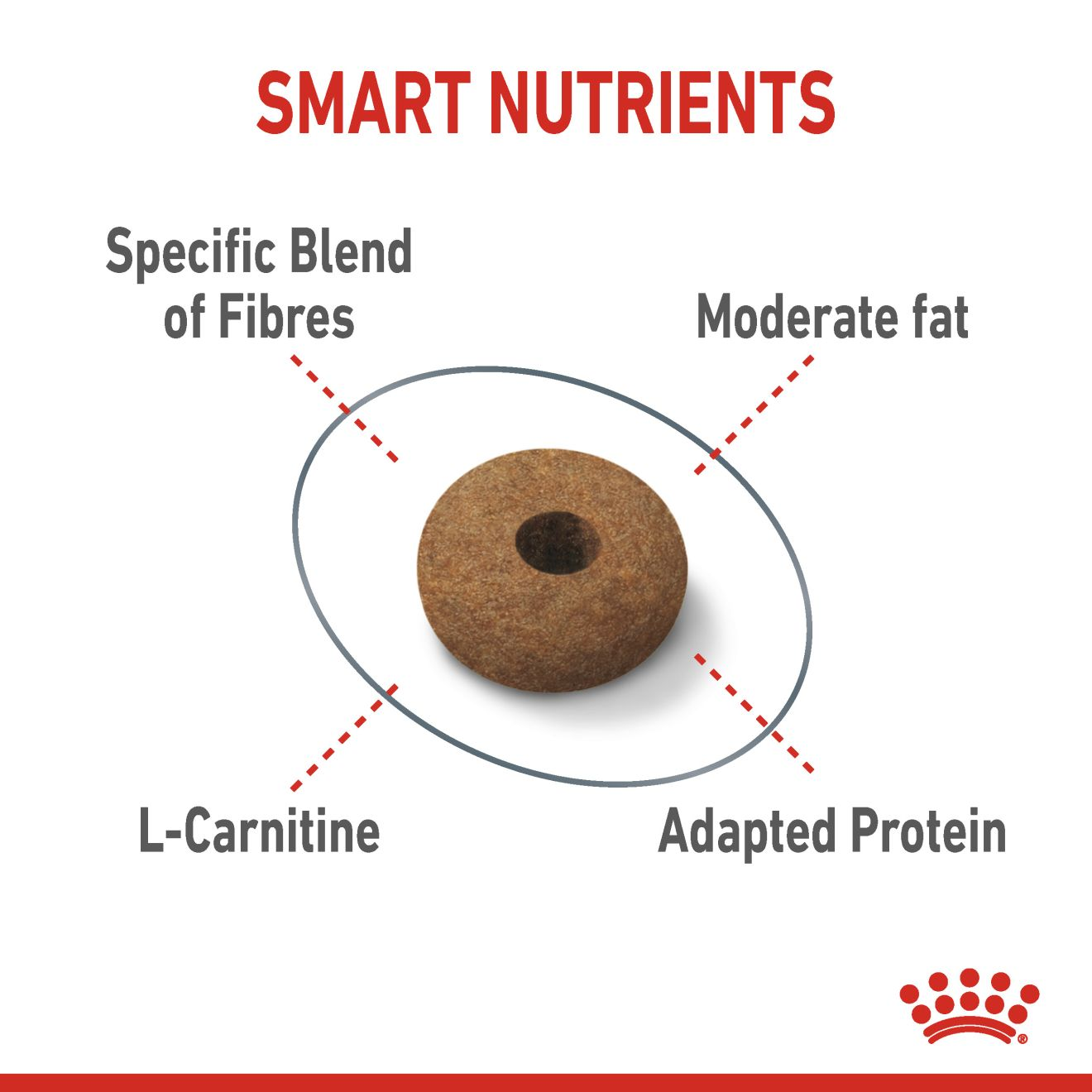 Royal canin sterilized appetite hot sale control