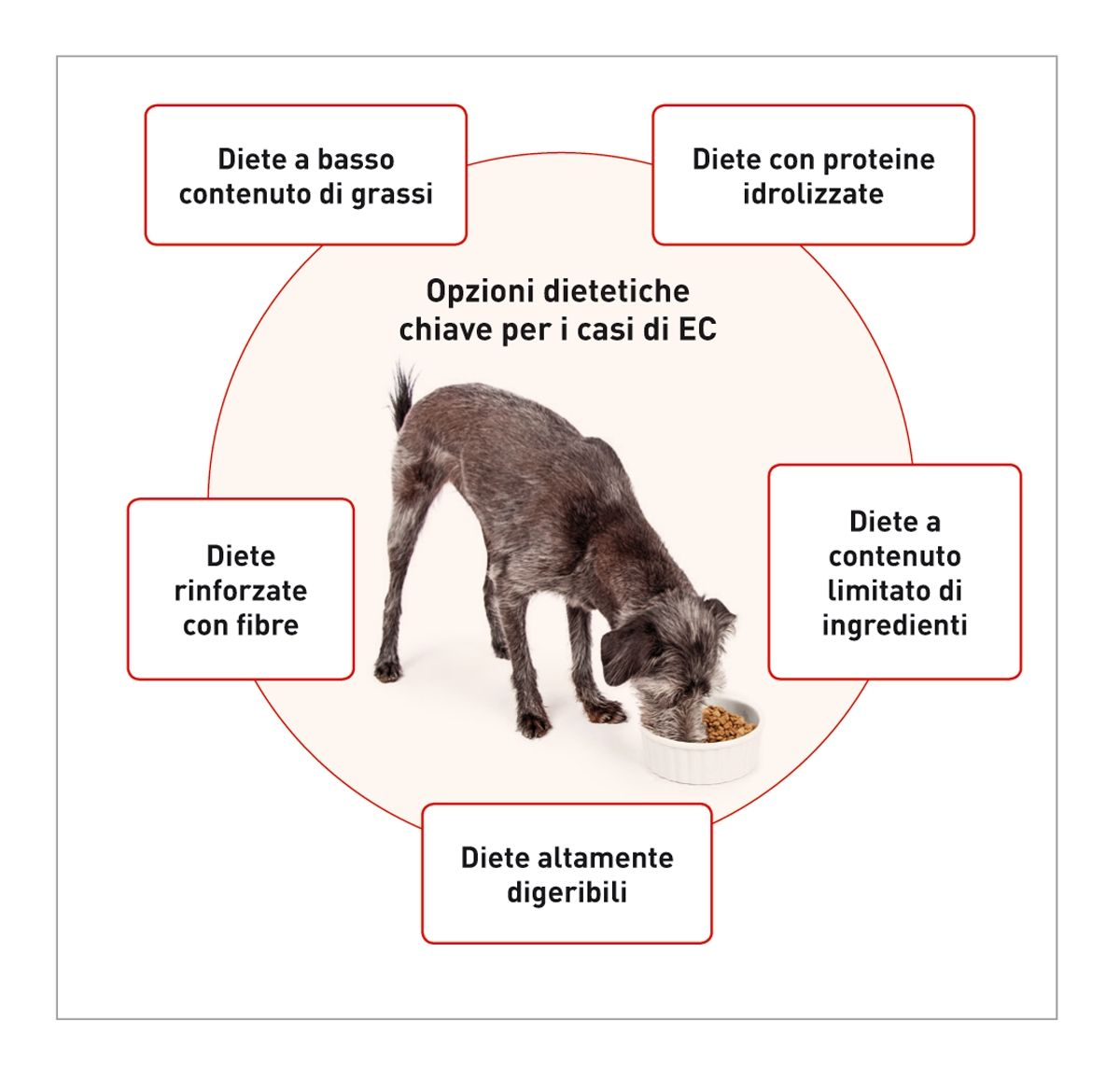Per i pazienti con malattia GI sono in commercio strategie alimentari molteplici. Le cinque utilizzate più spesso includono: (I) diete a basso contenuto di grassi, (II) diete rinforzate con fibre, (III) diete altamente digeribili, (IV) diete a contenuto limitato di ingredienti e (V) diete con proteine idrolizzate. Ogni tipo di dieta deve essere utilizzato nelle aree specifiche delle enteropatie croniche dove è più probabile che apportino beneficio all’animale.