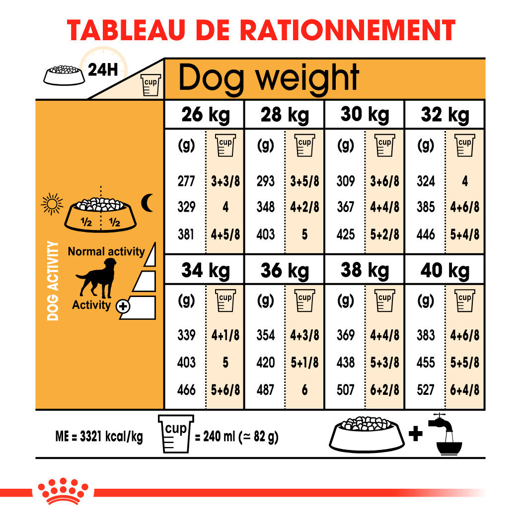 Labrador Retriever Sterilised Adult