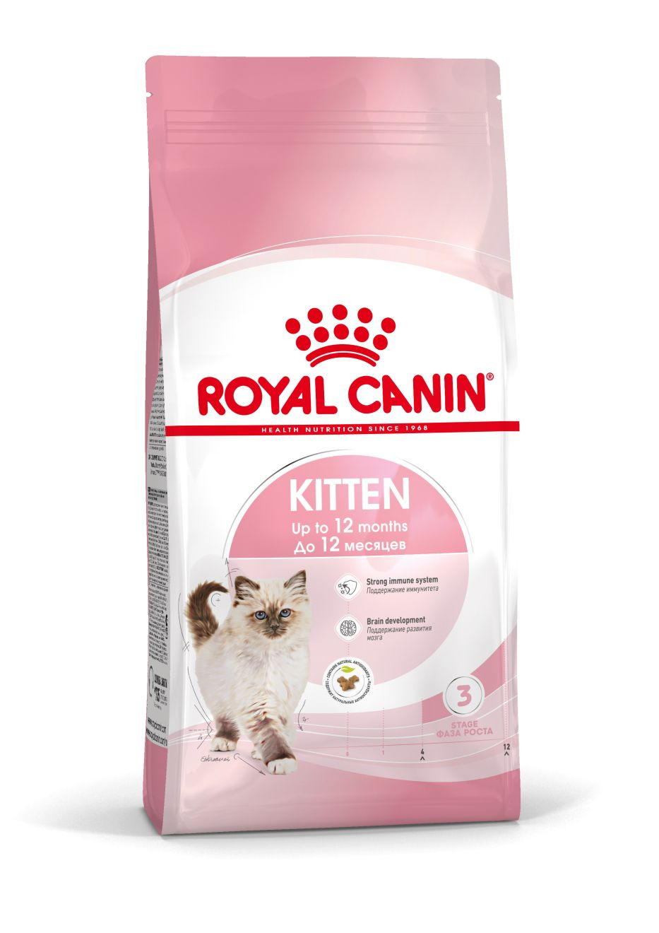 Как часто котенок должен ходить в туалет? | Royal Canin