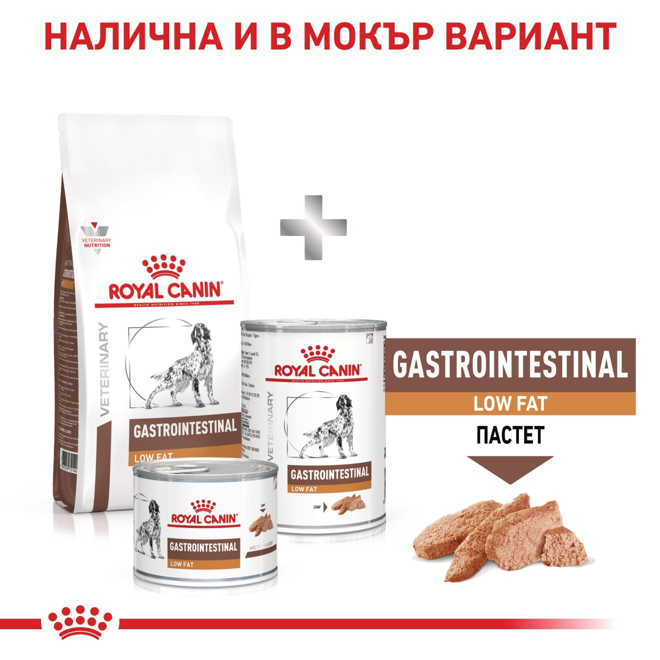 GASTROINTESTINAL LOW FAT