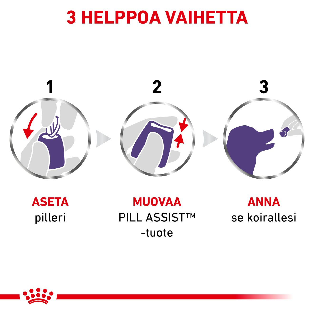 Pill Assist Small Dog