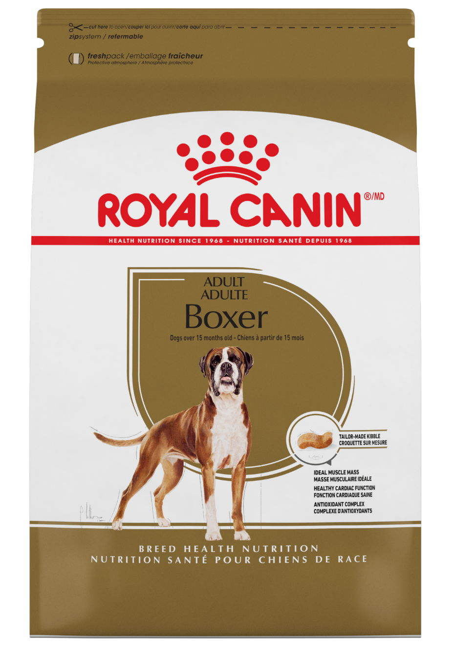 Boxer Adult