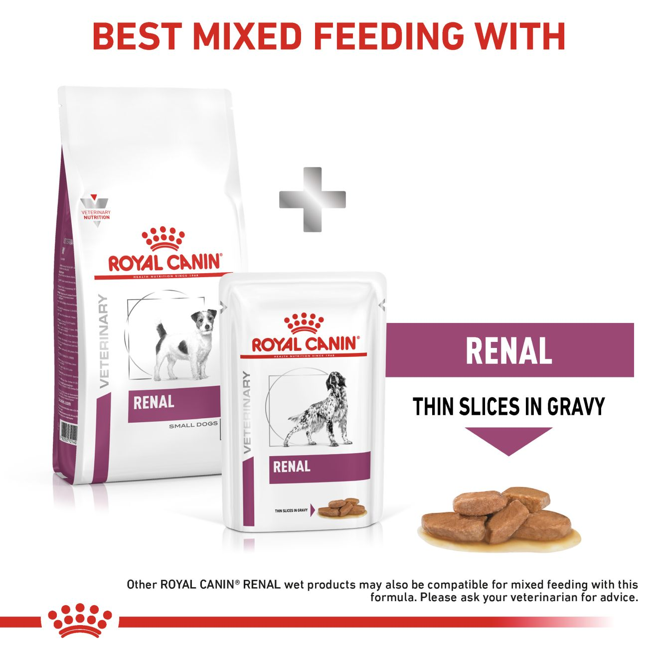 Renal Small Dog