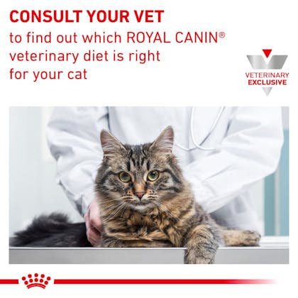 Secondary Image_RC-VET-DRY-CatUrinarySO-Eretailkit-USA_Page_8.png