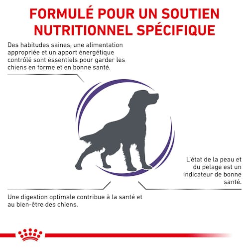 Adult Medium Dogs - Aliment vétérinaire pour chien