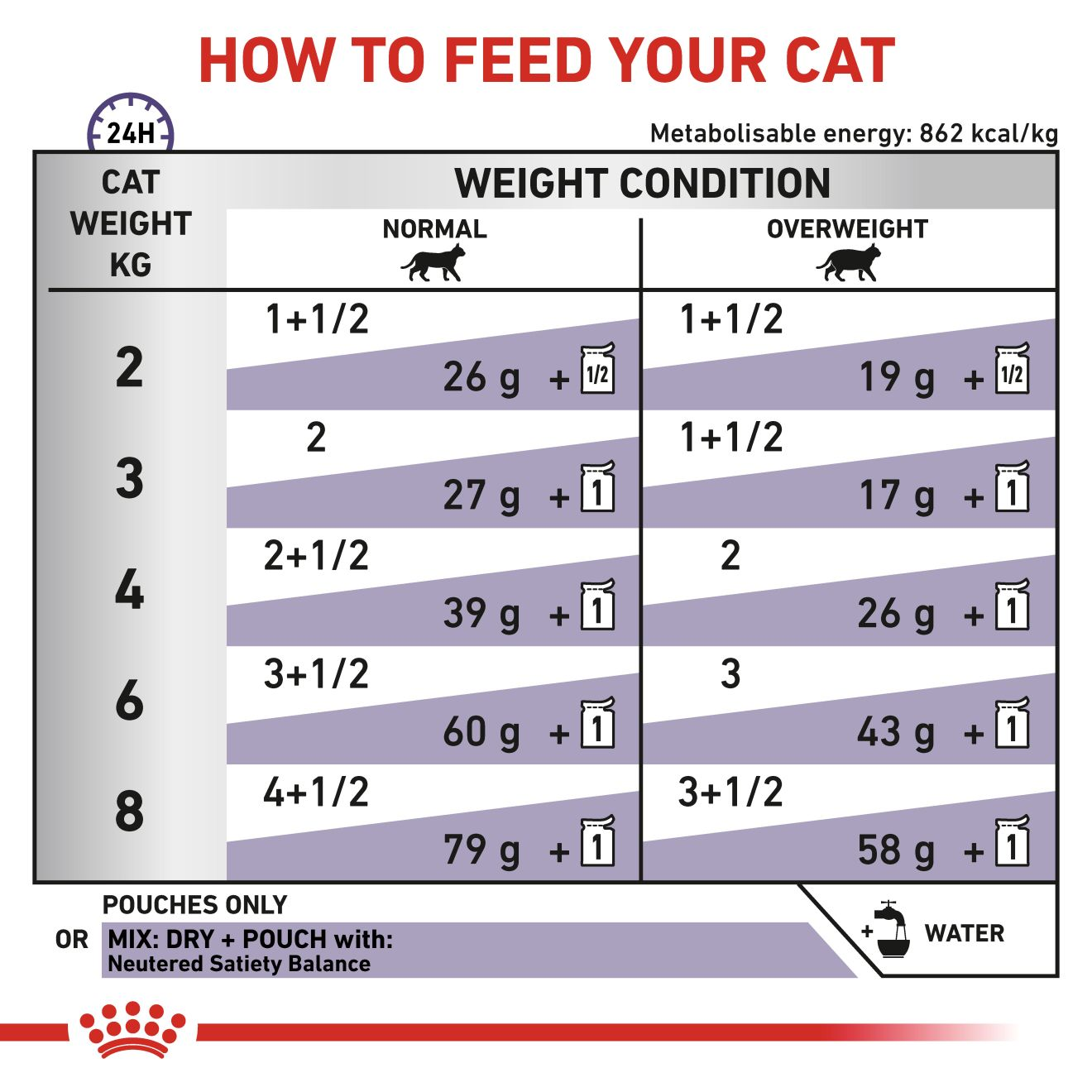 Royal canin clearance maintenance cat food