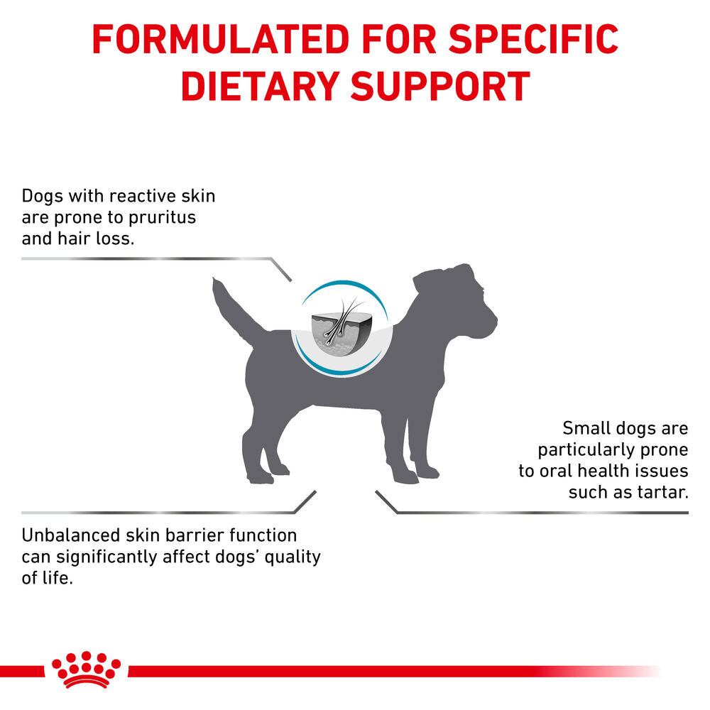 Skin care small store dog royal canin