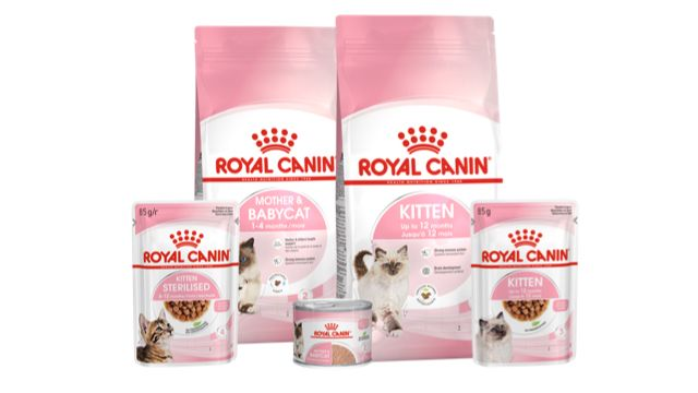 Kitten product range pack shot