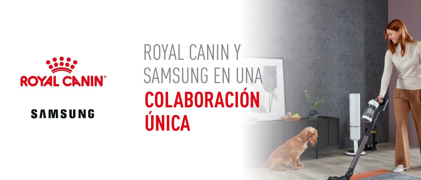 Colaboración Royal Canin con SAMSUNG