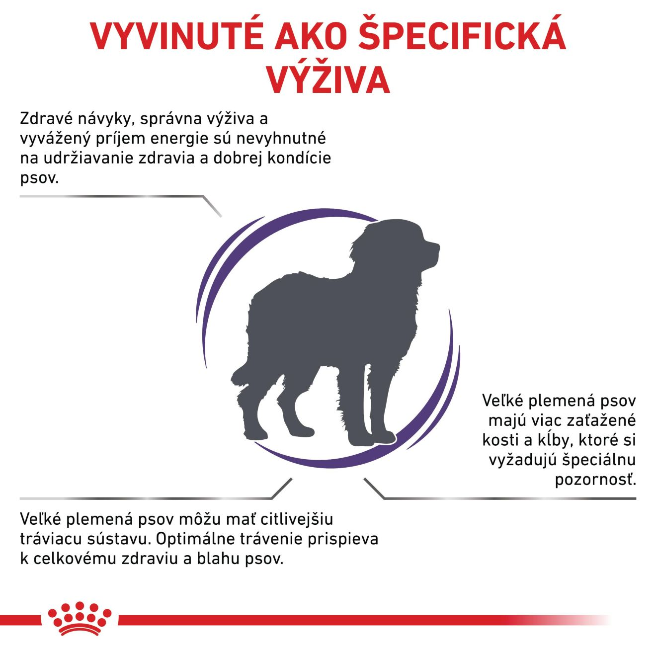 VHN Adult large dog
