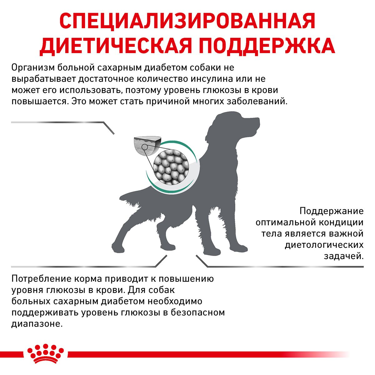 Diabetic | Royal Canin UA