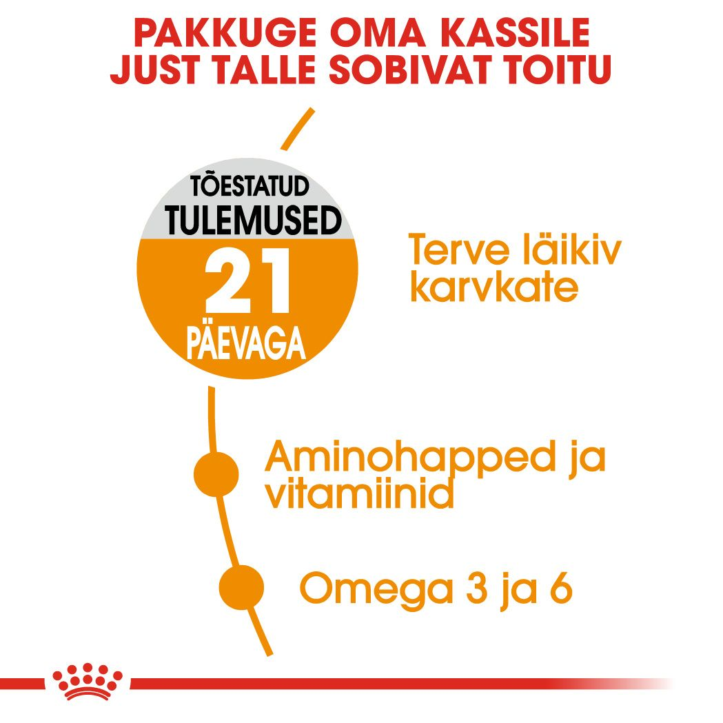Royal Canin Hair & Skin Care kuivtoit