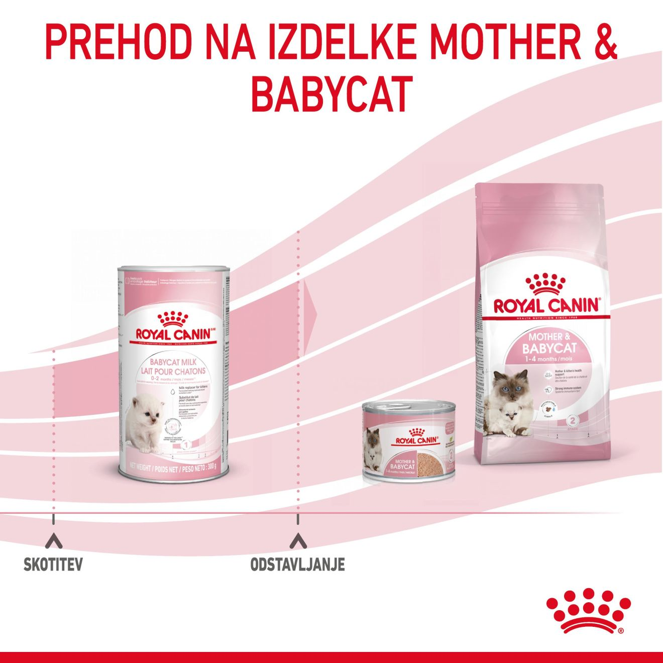 BABYCAT MILK