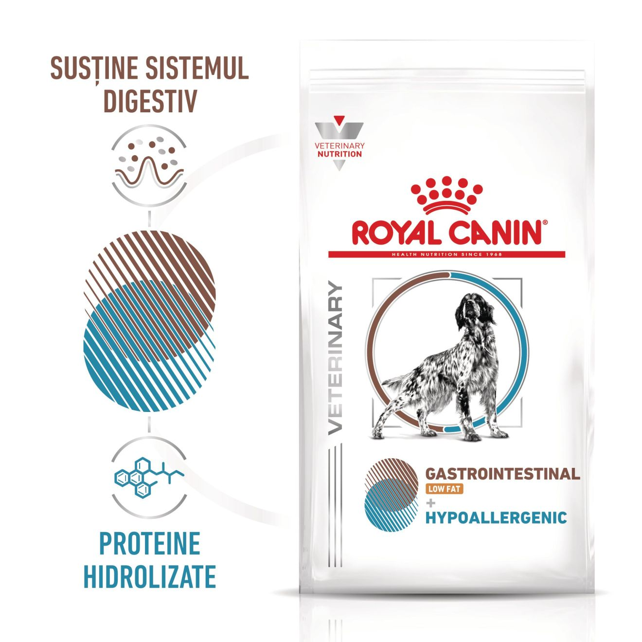 GASTROINTESTINAL LOW FAT + HYPOALLERGENIC