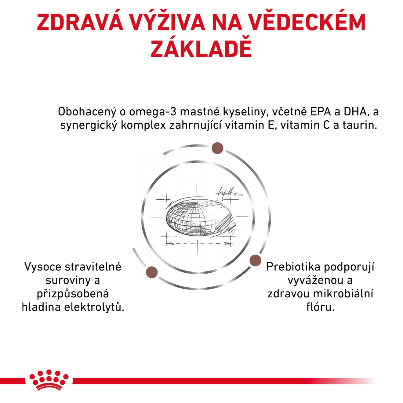 VHN Dog Gastrointestinal Low Fat