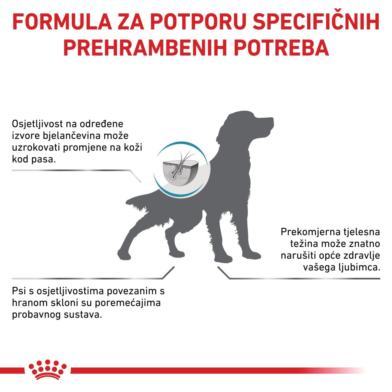 HYPOALLERGENIC MODERATE CALORIE