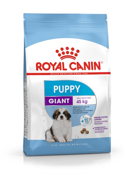 PACKSHOT-PUPPY GIANT_SHN17