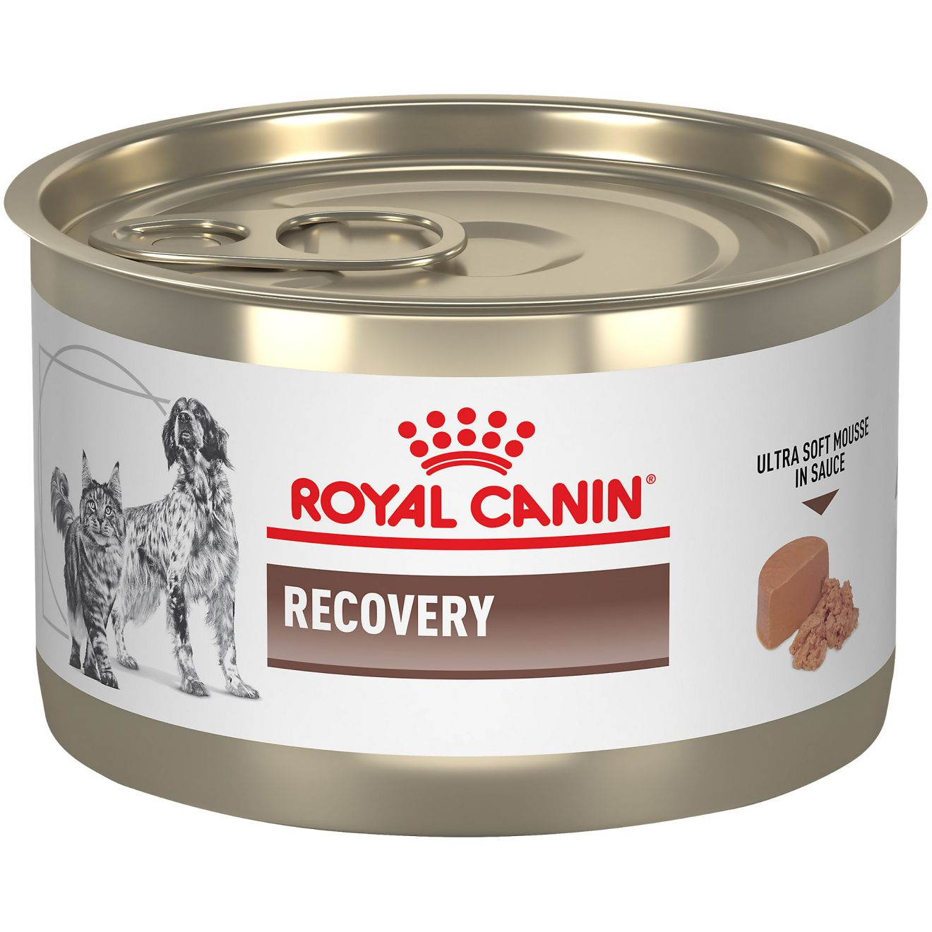 Royal Canin Veterinary Recovery Dog & Cat - Alimento em Mousse