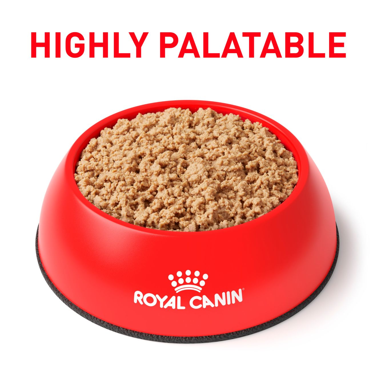 Royal canin rabbit outlet and pea cat food