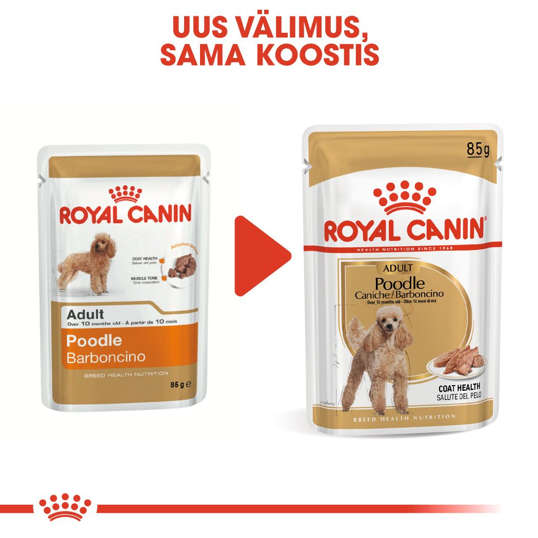 Royal Canin Poodle Adult konserv