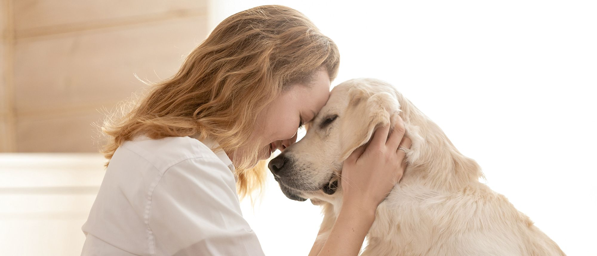 Donna che abbraccia un Labrador Retriever