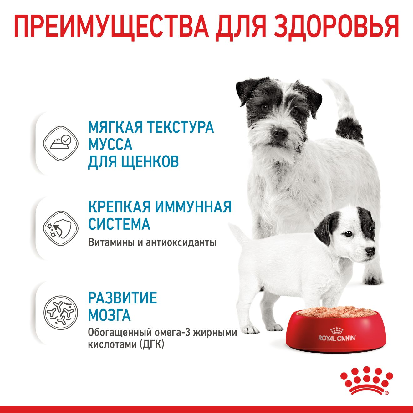 Starter Mousse Mother & Babydog