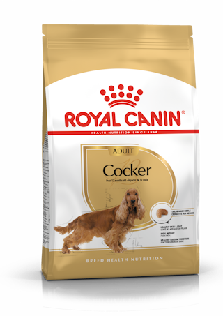 Royal Canin Cocker Adult kuivtoit