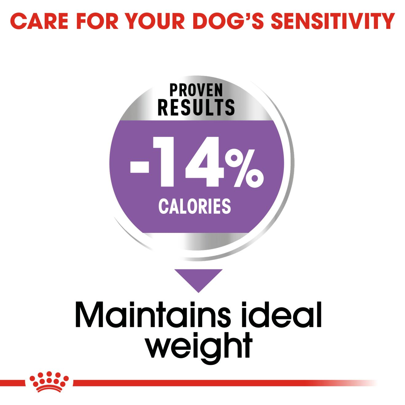 Royal canin outlet mini adult sterilised