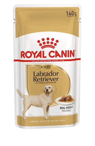 Labrador Retriever pouch