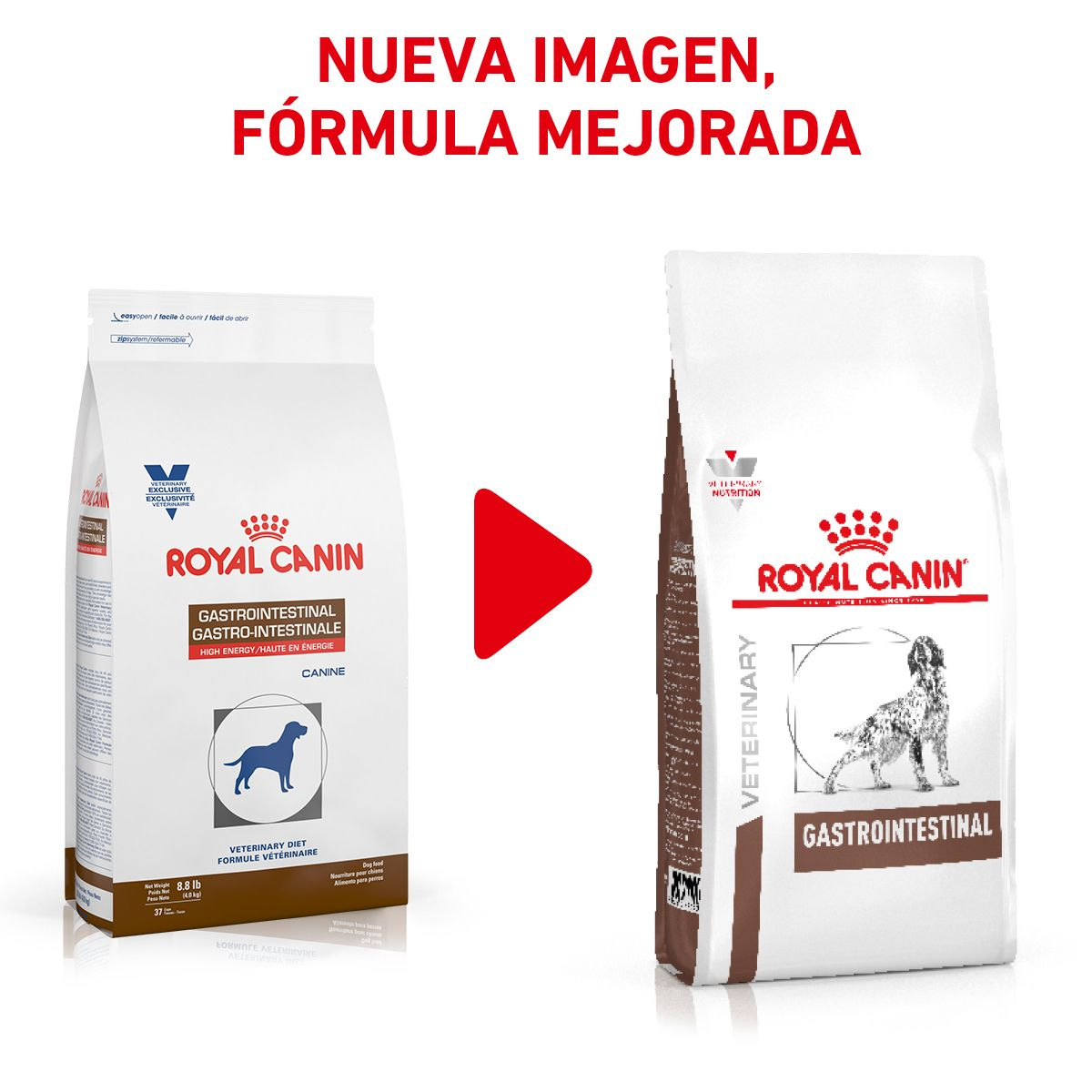 gastro-intestinal-royal-canin-mx