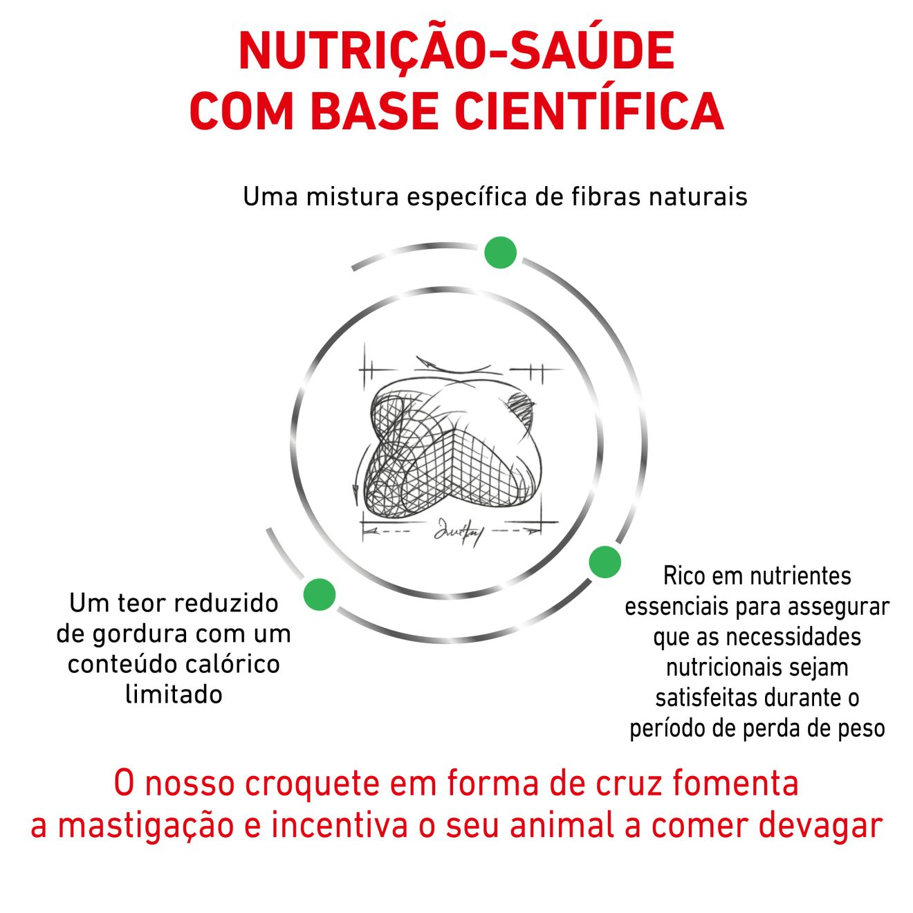 Satiety Weight Management | Royal Canin PT