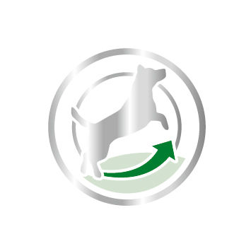 อาหารสุนัขสูงวัย พันธุ์เล็ก ชนิดเม็ด (MINI ADULT 8+)