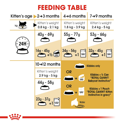 RC-FBN-KittenPersian-CV-EretailKit-5