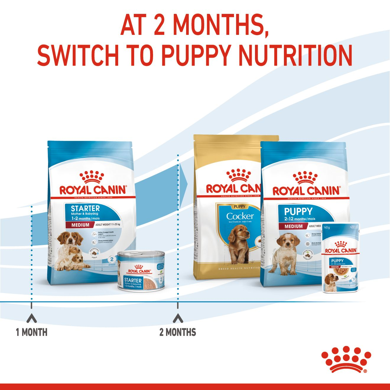 Royal canin medium starter 20 kg sale