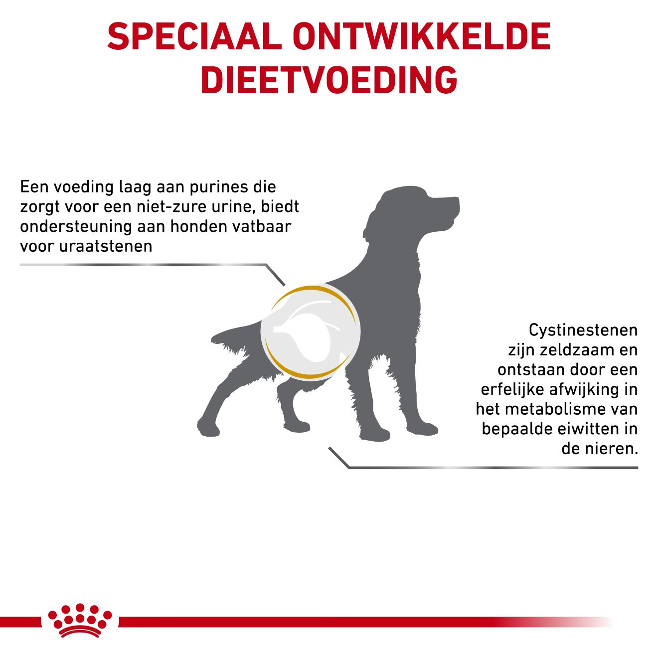 Urinary U/C | Royal Canin BE