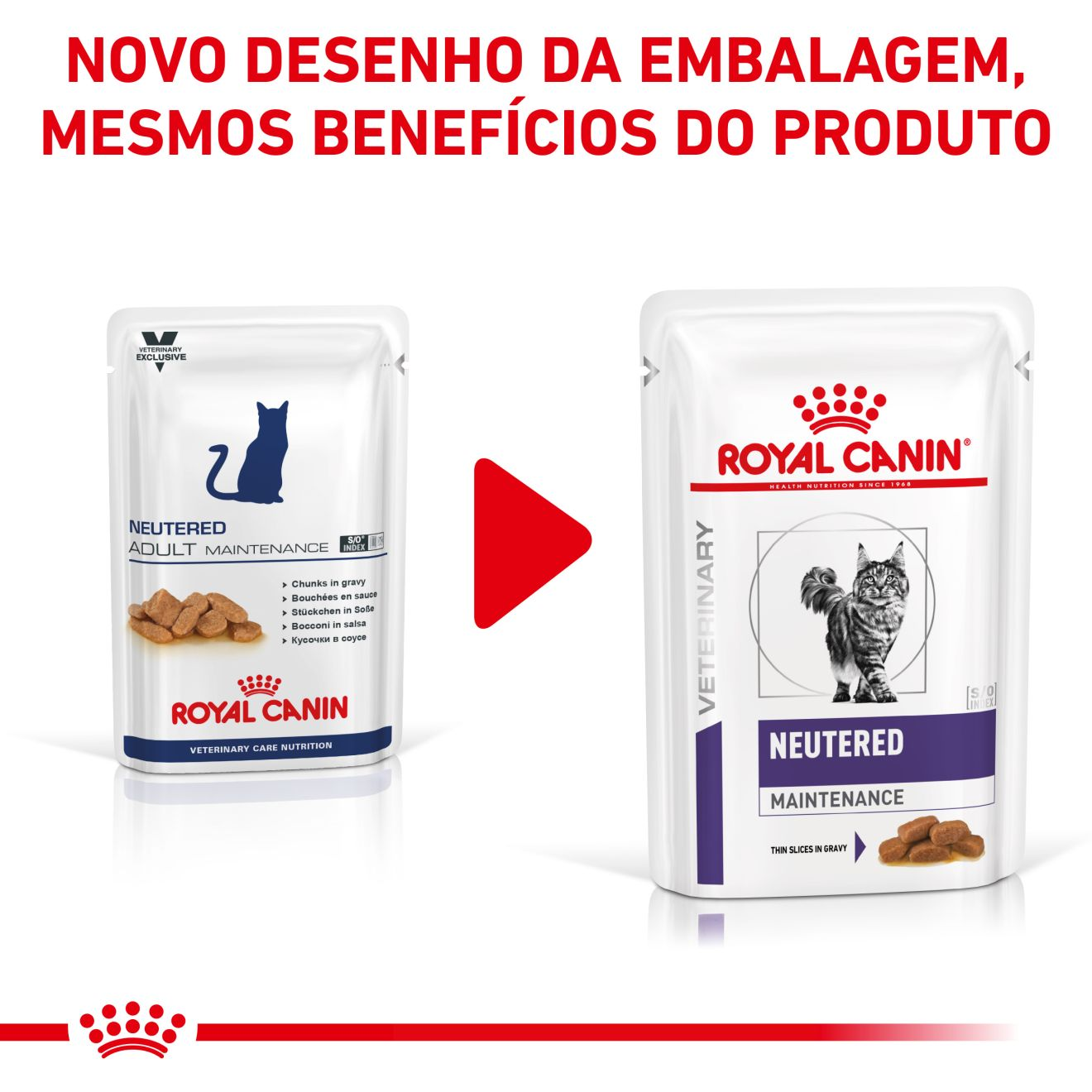 Neutered Maintenance