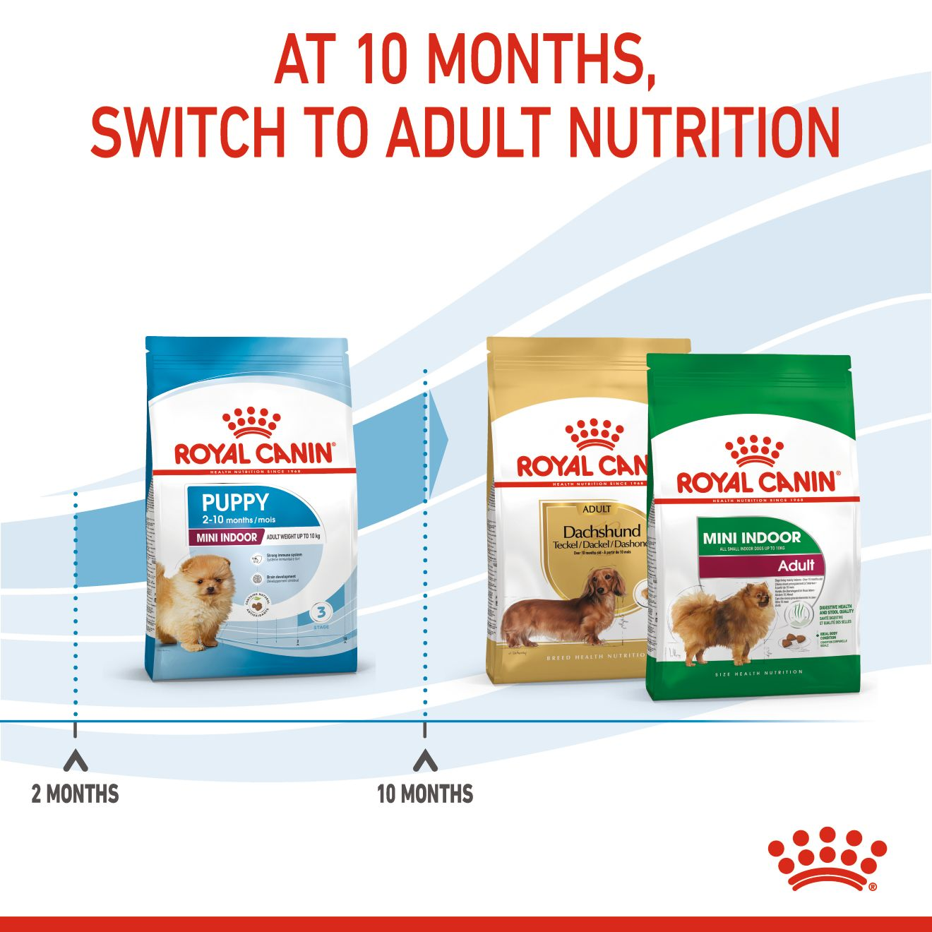 Royal Canin,Dry Dog Food Puppy X-Small Breed - Ren's Pets