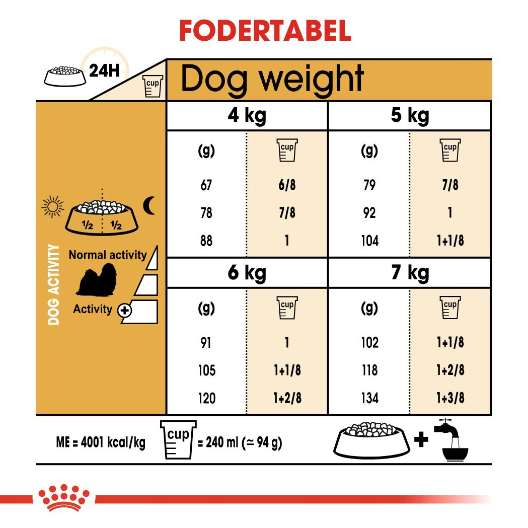 Shih Tzu Adult