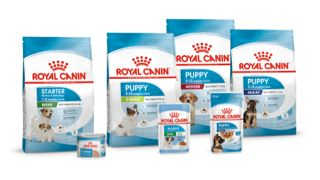 Puppy product range pack shot