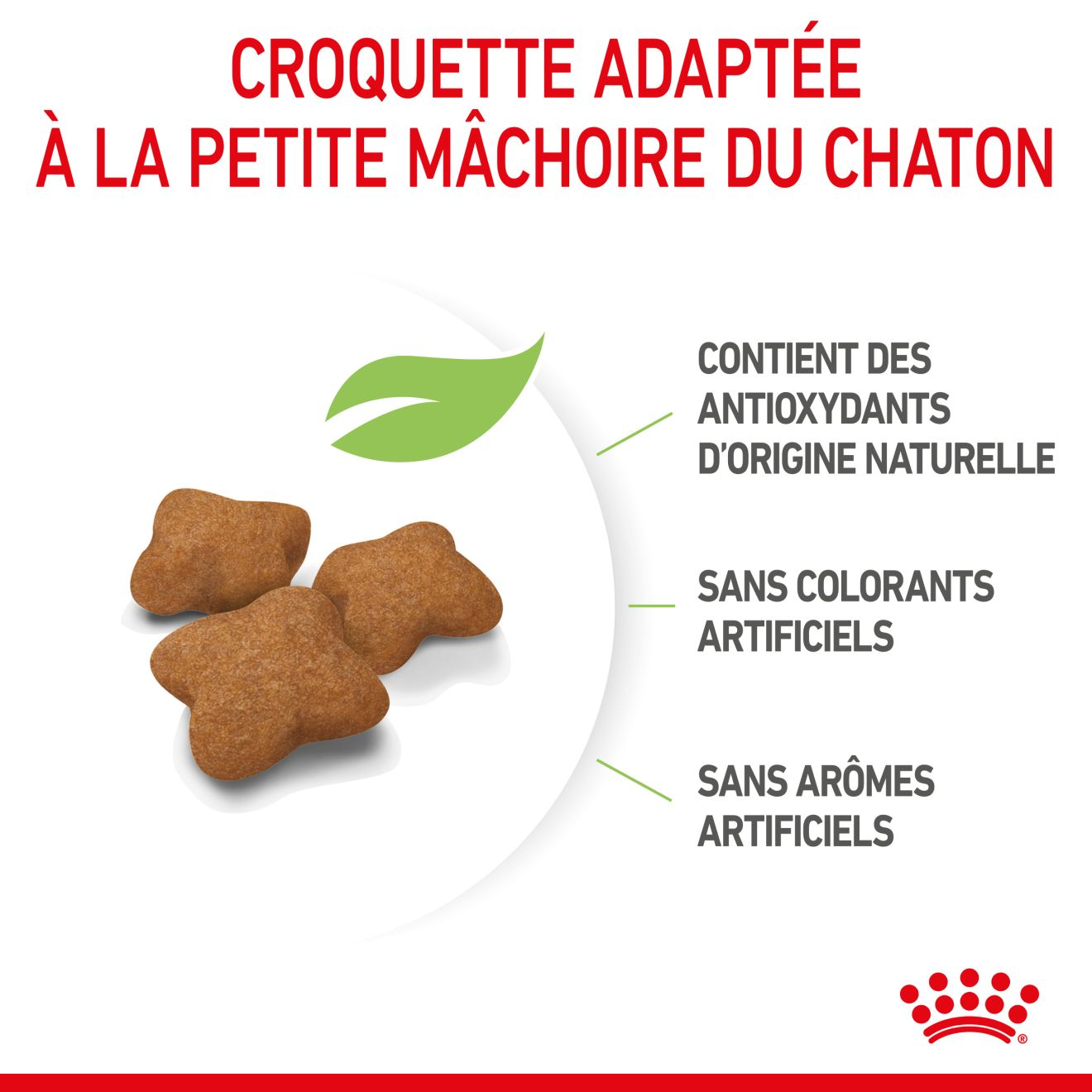 Croquettes chaton stérilisé, Royal-Canin Kitten Sterilised