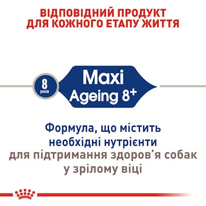 RC-SHN-AgeingMaxi8_2