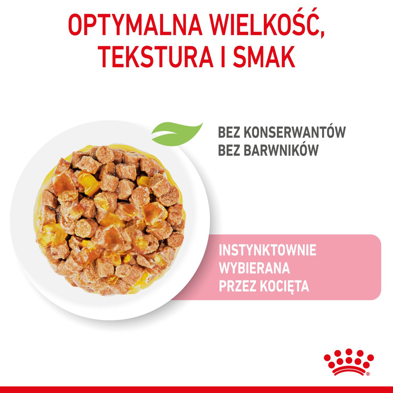 ROYAL CANIN Kitten Sterilised  karma mokra w galaretce dla kociąt do 12 miesiąca życia, sterylizowanych